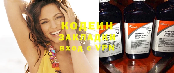 крисы Слюдянка