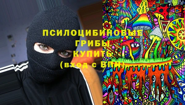 прущий лед Снежногорск
