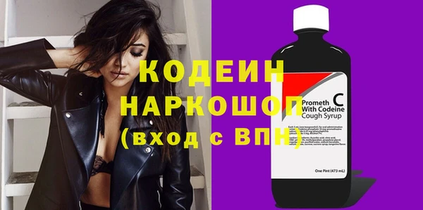 apvp Бородино