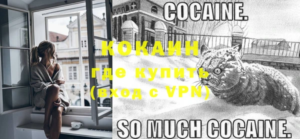 apvp Бородино