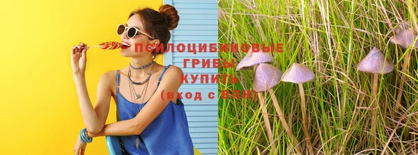 прущий лед Снежногорск