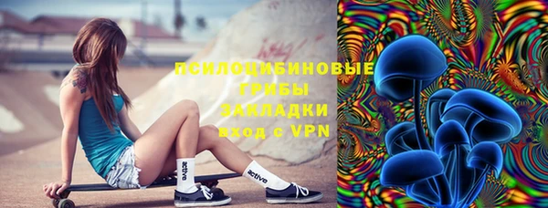 крисы Слюдянка